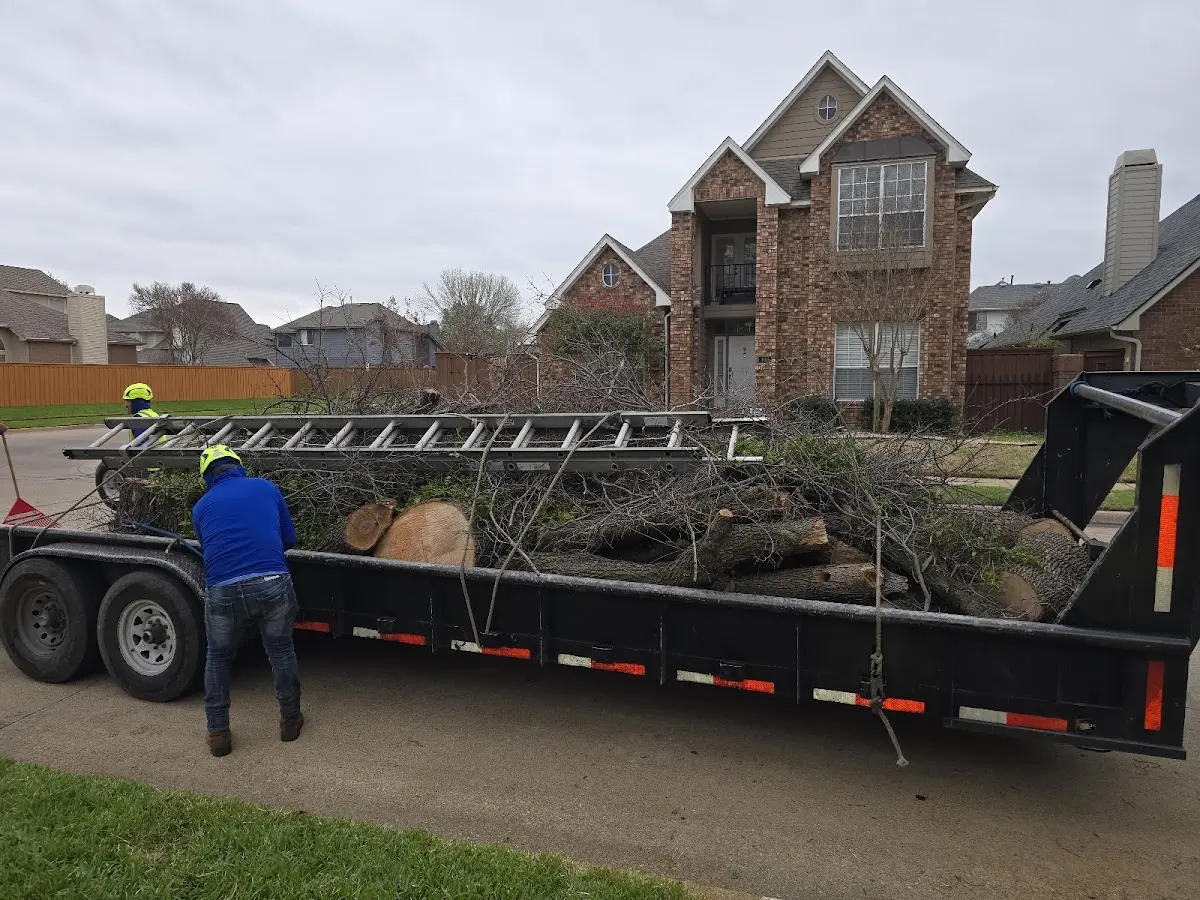 Expert Tree Removal with proper safety equipment in Cloquet